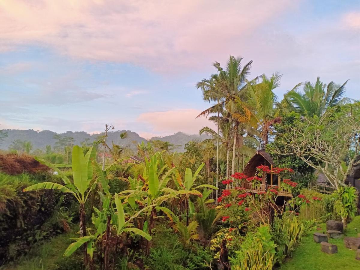 Jero Tumbuk Private Villa Selat Exterior photo