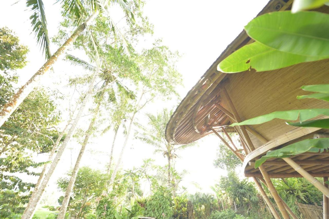 Jero Tumbuk Private Villa Selat Exterior photo
